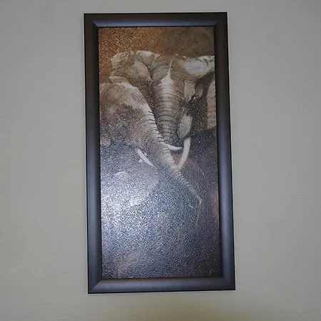 Central Apartments Apartament